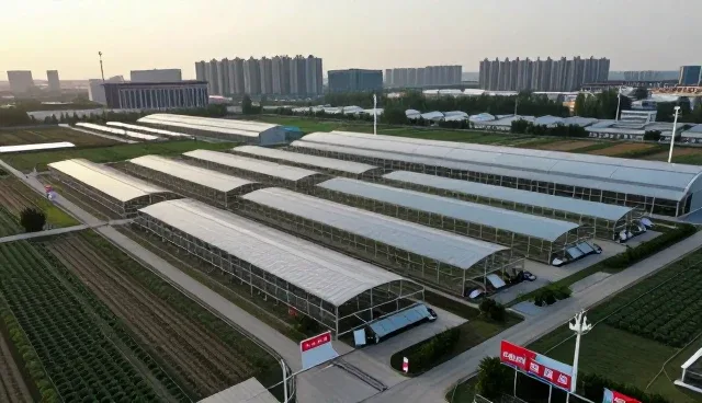 电子产品销售场景中的技术更新应用实践