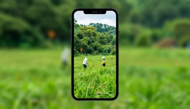 一件代发服务的适用场景与使用限制